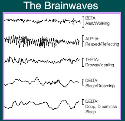 Lie-The-Brain-waves